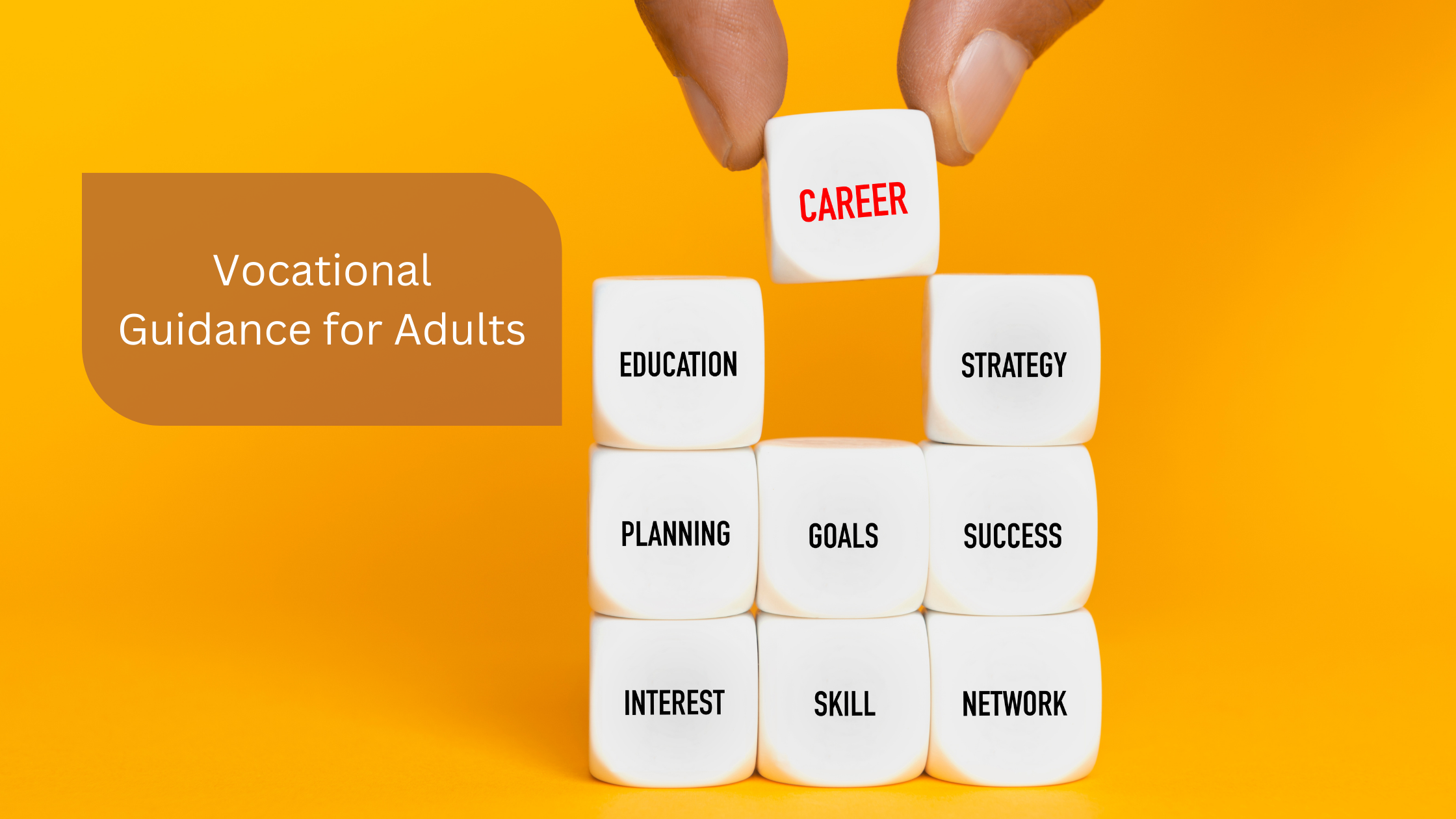 Vocational Guidance for Adults
